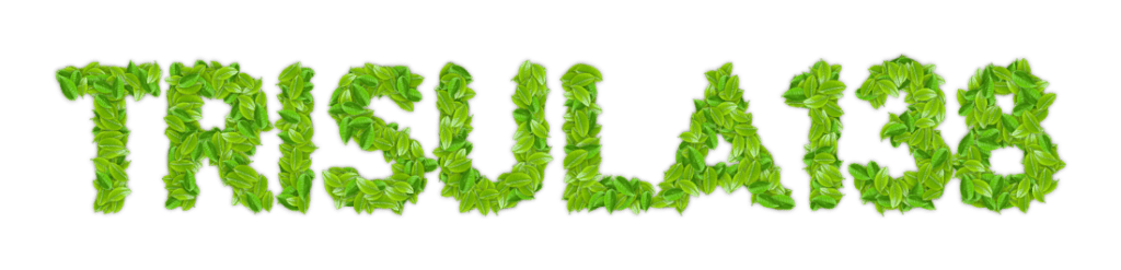 LOGO TRISULA138
